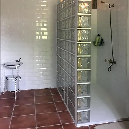 Mis Antepasados